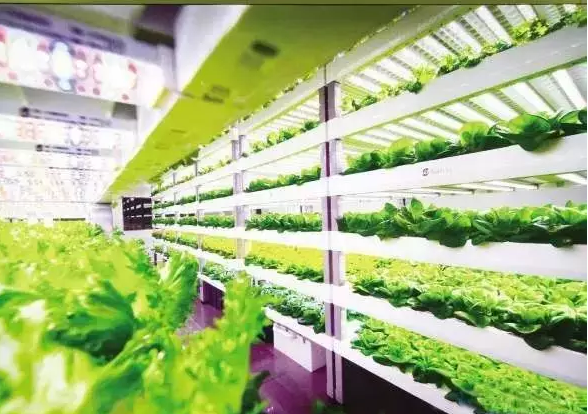 南京諾爾迅亮化，照明亮化工程
